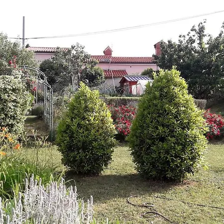 Apartma Oljka Pomjan Šmarje Exterior foto