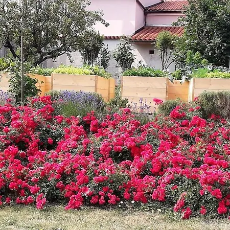 Apartma Oljka Pomjan Šmarje Exterior foto