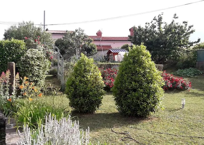 Apartma Oljka Pomjan