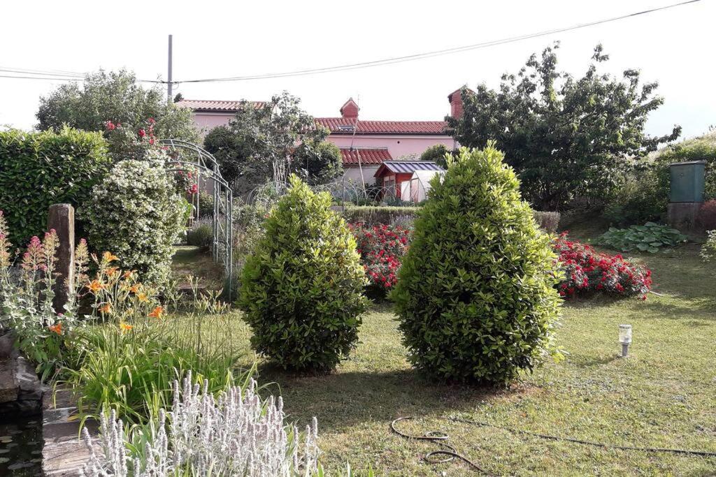 Apartma Oljka Pomjan * Smarje (Koper)